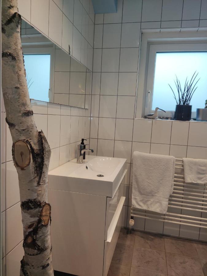 Zen Apartment - Spacious - Garden - Kitchen Καρλσρούη Εξωτερικό φωτογραφία